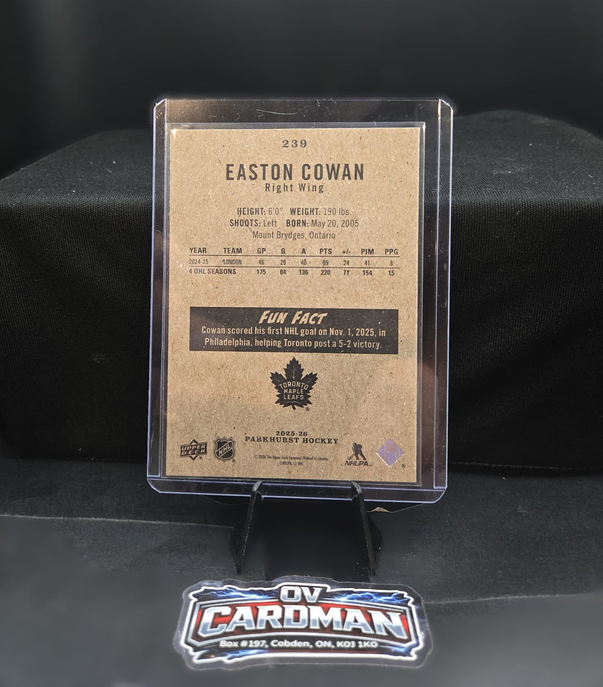 2025-26 Upper Deck Easton Cowan Star Rookies & Parkhurst RC Lot | Maple Leafs