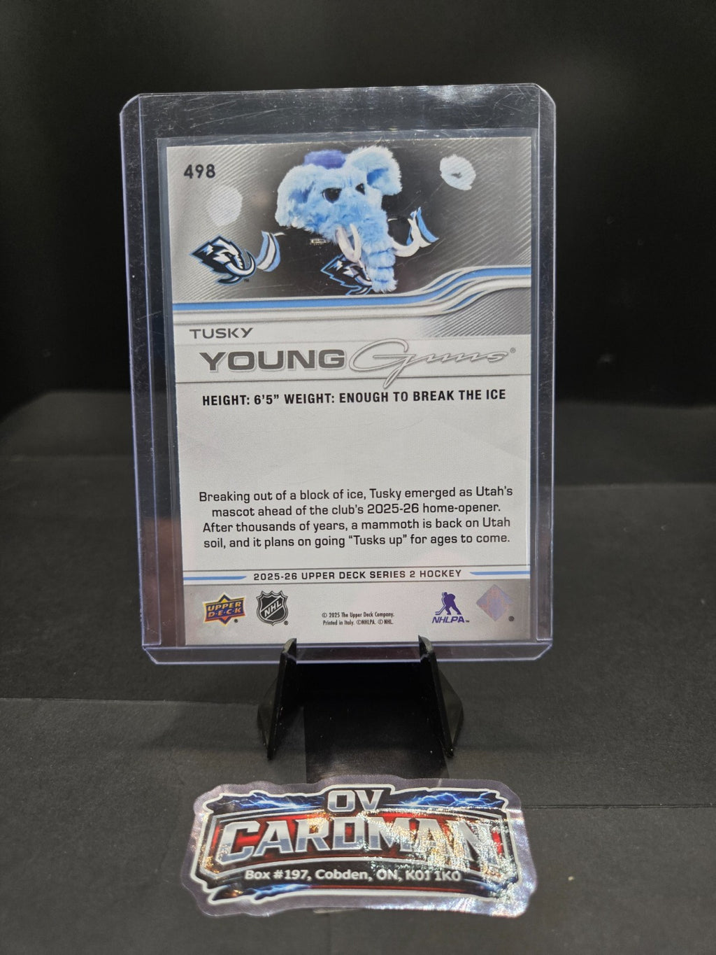 2025-26 Upper Deck Young Guns Rookie Cards (RC) You Pick - Combo Ship