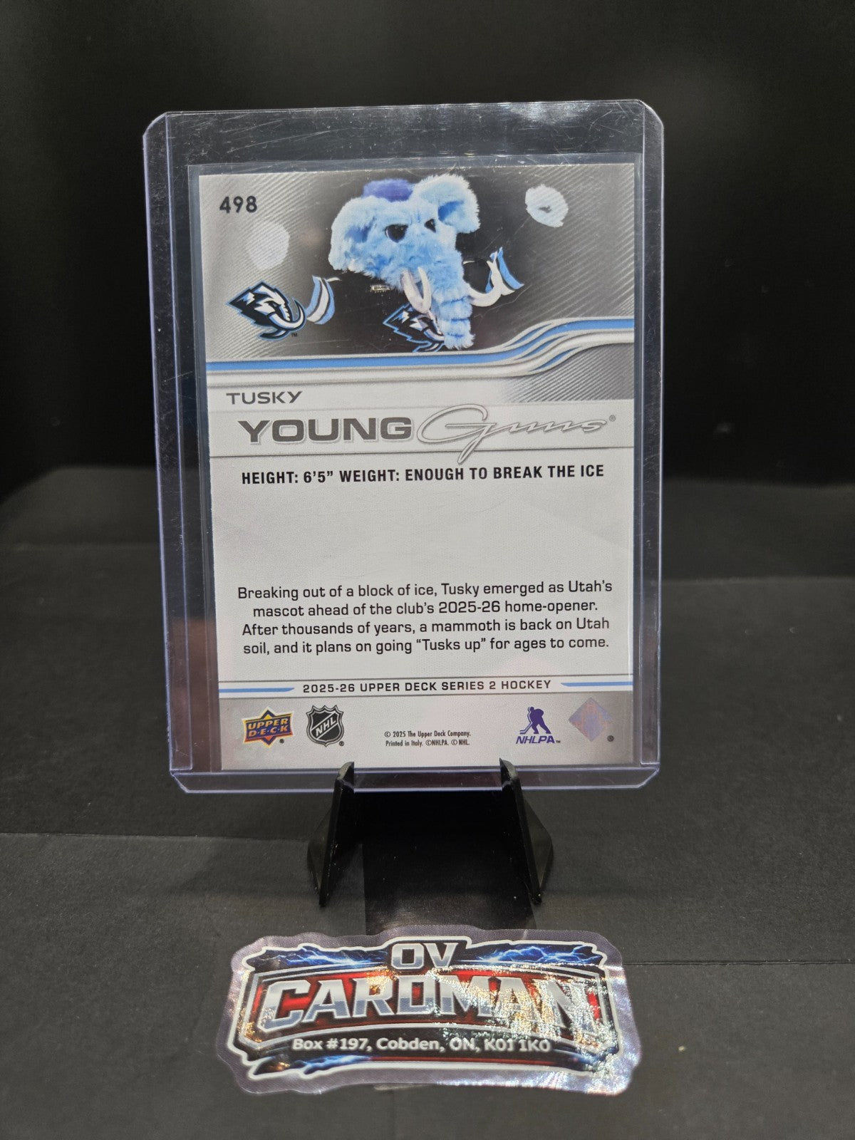 2025-26 Upper Deck Young Guns Rookie Cards (RC) You Pick - Combo Ship